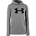 Under Armour Men's UA Storm Armour® Fleece Big Logo Hoodie