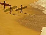 Cocoa Beach Surfer, Florida, USA Photographic Poster Print by
Stuart Westmoreland, 18x24