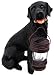 labrador0 - Black Labrador Retriever Solar Garden Light Dog Lab