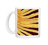 Part of a flax-leaf fleabane seed head Photo Mugs