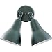 Quorum Lighting 2LT PAR LAMP FLOODLGT-BK