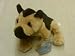 Webkinz I have