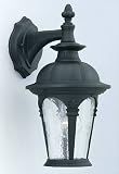 Designers Fountain Exeter Outdoor Lighting - Black - B000JZOHN2