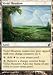 Search : MTG Magic the Gathering Vivid Meadow Collectible Trading Card Playset