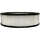 ACDelco A348C Professional Air Filter