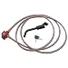 Hollywood Racks Bike Rack Keyed Locking Cable and Hitch Lock
