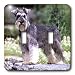   - Dogs Schnauzer - Schnauzer - Light Switch Covers - double toggle switch