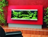 Aqua Future Freestyle 160 x 60 x 175 cm Mattlack farbig