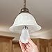 TCP 60 Watt Equivalent Single-Pack, LED Omni A19 Light Bulb, Dimmable Daylight LAO1050D