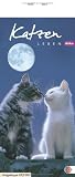 Whiskas Katzenleben 2012 - Kalender: Mit Jahres&uuml;bersicht 2012 - 