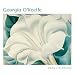Books : Georgia O'Keeffe 2009 Mini Wall Calendar