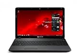 39.6cm(15.6) Packard Bell EasyNote TS11HR-265GE