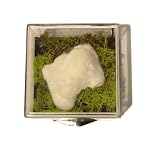 Okenite Mineral 01 White Crystal Cluster Green Moss Box Specimen Gem