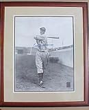 Ted Williams MINNEAPOLIS MILLERS SWING