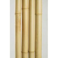 Bamboo Poles 2 Inch X 8 Feet, Carton of 4 Poles