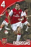 Arsenal FC - Cesc Fabregas Poster