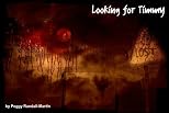 Looking for Timmy