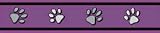 Red Dingo Dog Collar - Purple Pawprints ( Medium ) - B001COZ120