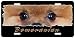   - Pomeranian 