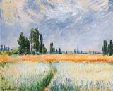 Claude Monet (The Wheat Field) Art Poster Print - 16 X 20