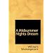 A Midsummer Nights Dream