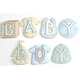 Jesse James Page Titles Baby Boy