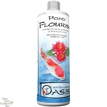 POND FLOURISH