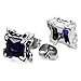 Men's Stainless Steel Stud Earrings CZ Silver Black Blue Dragon Claw Square Vintage (with Gift Bag)