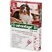 Bayer Advantage II Red 4-Month Flea Control for Dogs 21-55 lbs.
