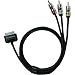 SCOSCHE IPAV showTIME HD Audio/Video Output