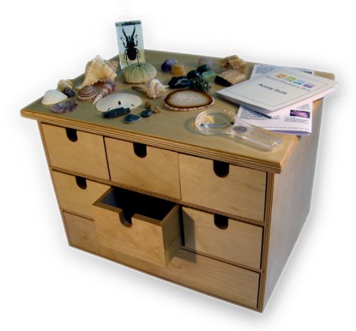 World Discovery Box Medium