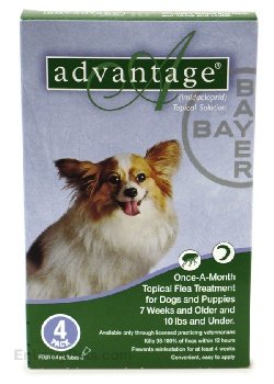 Advantage for Dogs - 1-10 lbs - 4 month supply