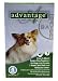 Pet Supplies : Advantage for Dogs - 1-10 lbs - 4 month supply