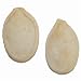 Squash/Pumpkin Seeds Roasted Unsalted Unsalted