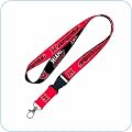 Auto Accessories