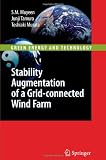 Stability Augmentation of a Grid-connected Wind Farm (Green Energy and Technology)