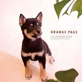 オレンジページ カレンダー犬 2010