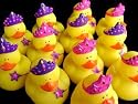 One Dozen (12) Mini PRINCESS Rubber Duckie Ducky Duck Party Favors
