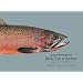 Cutthroat: Native Trout of the West, Second Edition, Revised and Updated