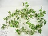 180cm Artificial Silk Foliage Ivy Wired Garland (Variegated) from GT Decorations