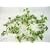 180cm Artificial Silk Foliage Ivy Wired Garland (Variegated) from GT Decorations