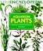 Barrons Books Aquarium Plants Mini Encyclopedia Book