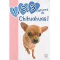 1,2, 3 histoires de Chihuahuas !