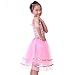 Anleolife Kids Girl Tutu Skirts Dance Ballet Princess Birthday Tutus Dress Gift Party (small, pink)