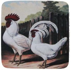 Golden Hill Studio Rooster/Hen 2 Coaster (Set of 8), Multicolored