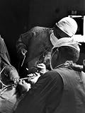Brain Surgeon Irving S. Cooper Performing Operation Which Often Helps Relieve Parkinson's Disease Photographic Poster Print by Alfred Eisenstaedt, 24x32