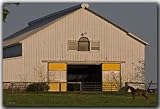 Linda Shier Yellow Doors 8X10