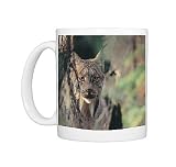 Lynx, Lynx canadensis, Photo Mugs
