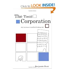 The Timid Corporation: Why Business is Terrified of Taking Risk