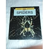 Spiders